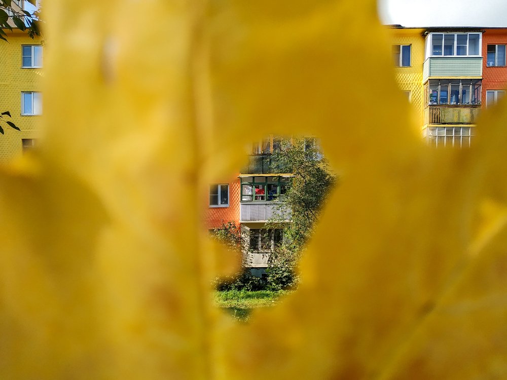 Краски осени