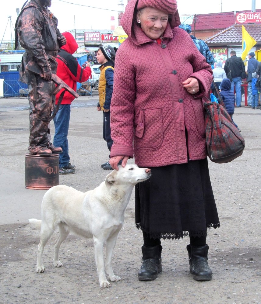 Дама с собачкой...