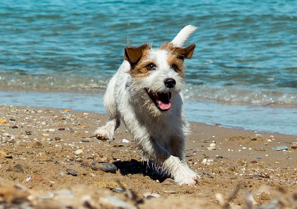 Photograph by Nikolaos Karvounopoulos