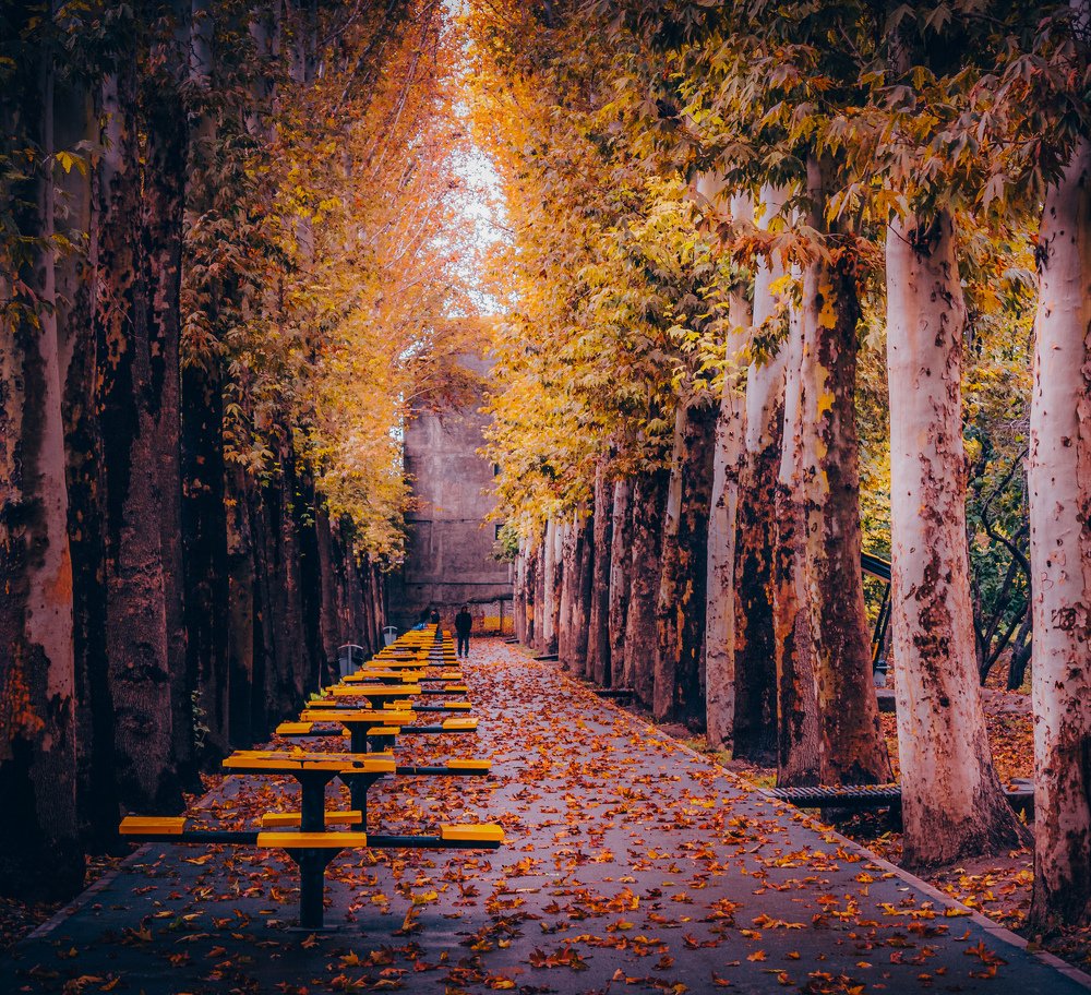 Photograph by Abolfazl Jafarian