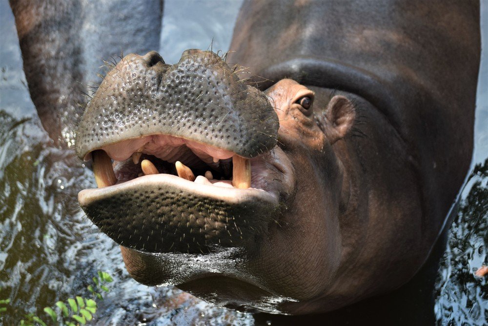 Photograph by Сергей Подлевский