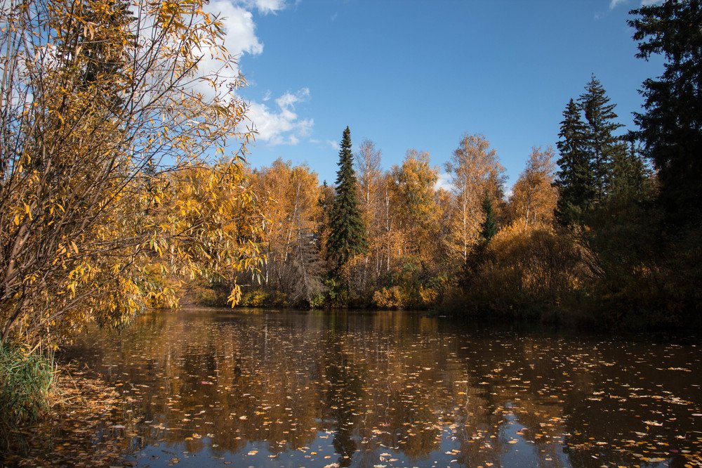 Photograph by Вадим Басов