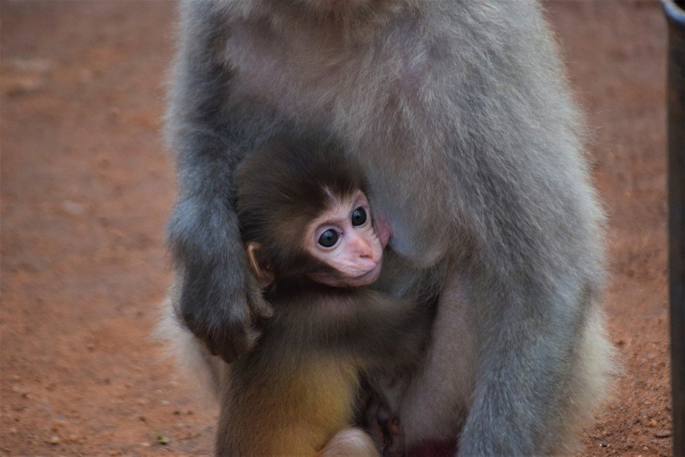 Photograph by Сергей Подлевский