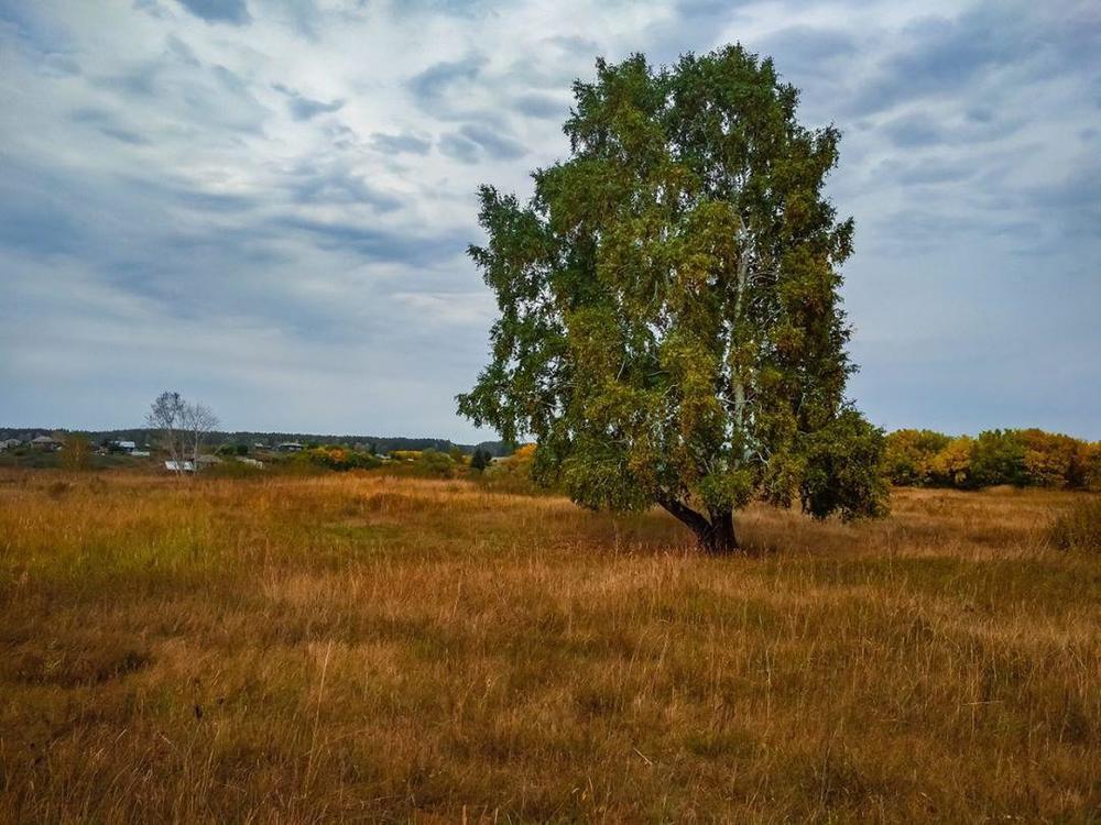 Photograph by Юлия Петракова