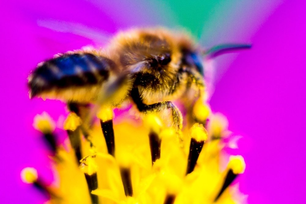 Photograph by Aliya Gabdrakhmanova