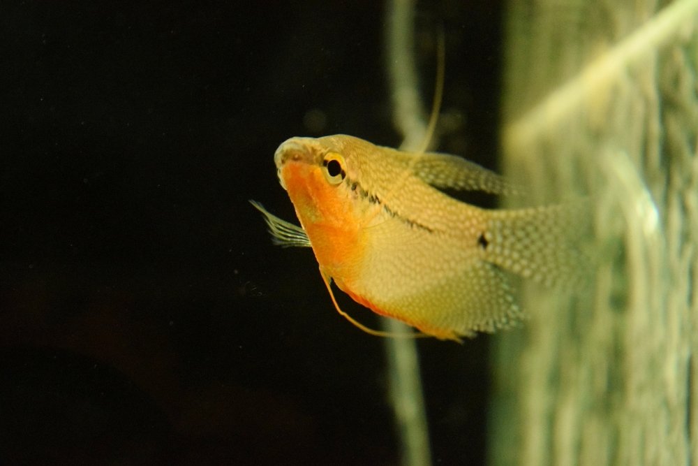 Photograph by Сергей Подлевский