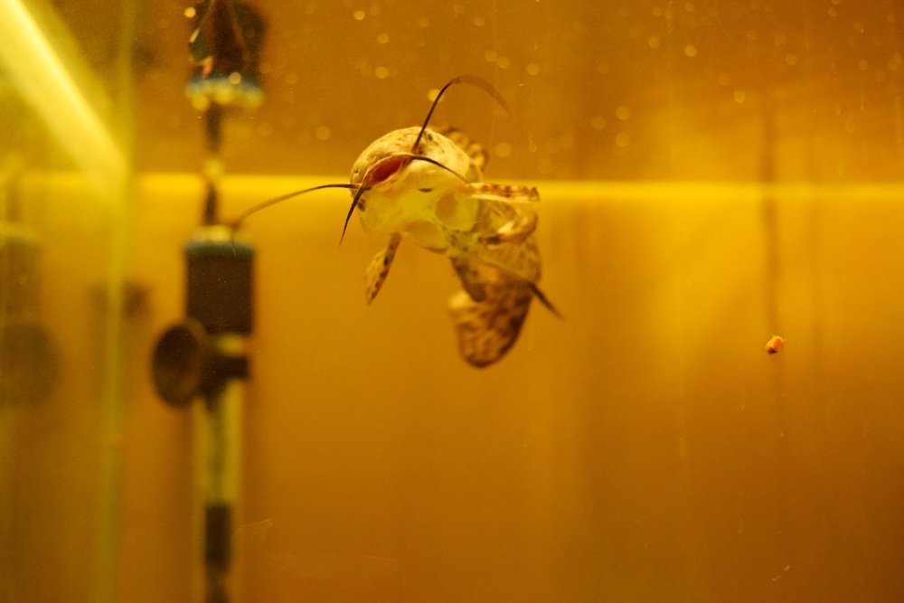 Photograph by Сергей Подлевский