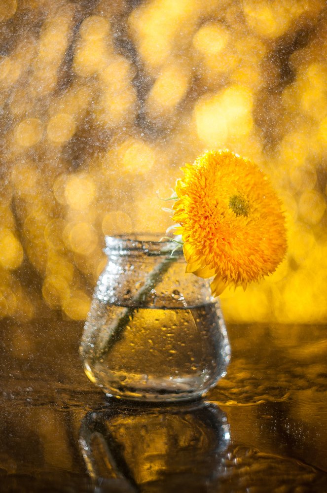 Фотография автора Кирилл Сизов