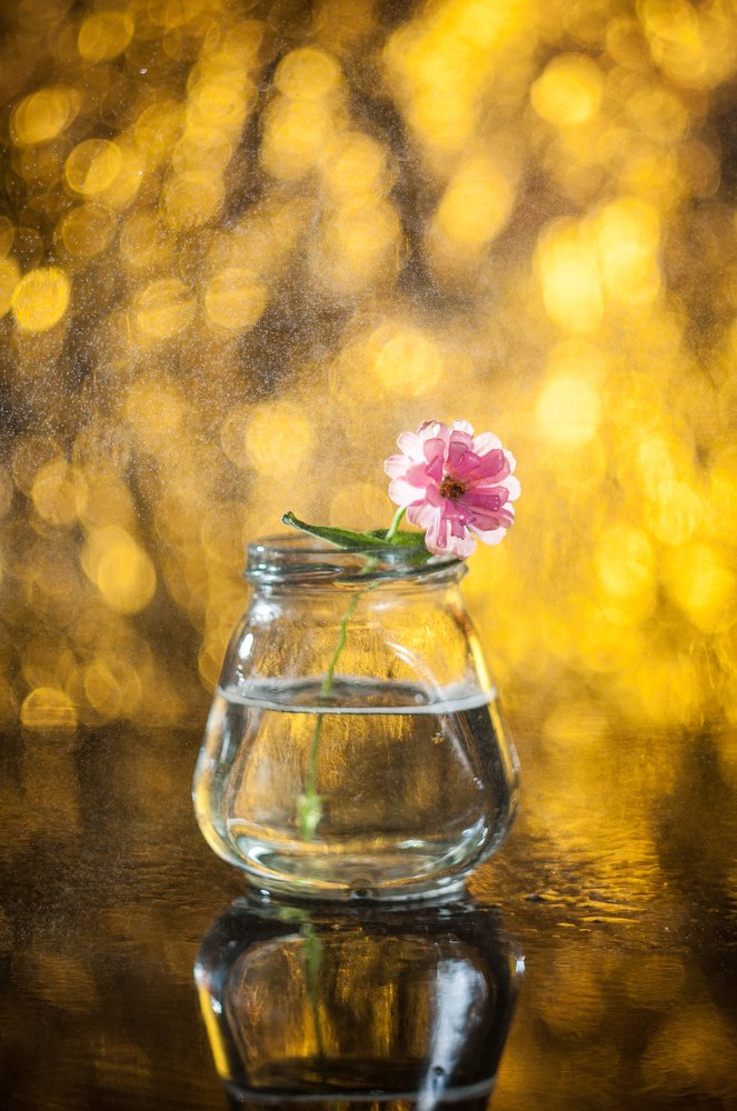 Фотография автора Кирилл Сизов