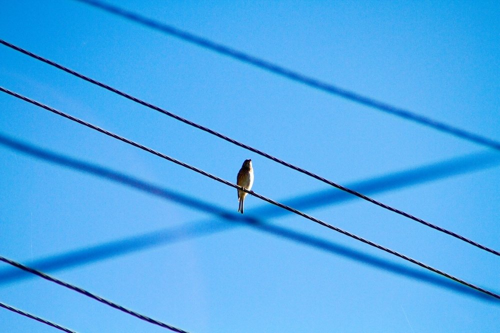 Photograph by Aliya Gabdrakhmanova