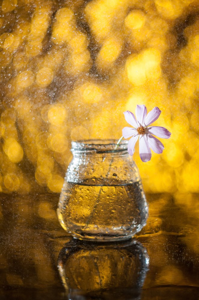 Фотография автора Кирилл Сизов