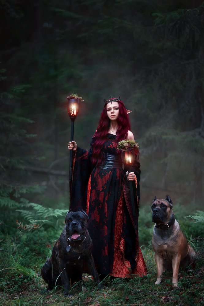 Photograph by Оксана Сироштан