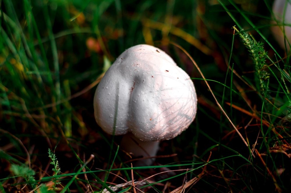 Photograph by Aliya Gabdrakhmanova