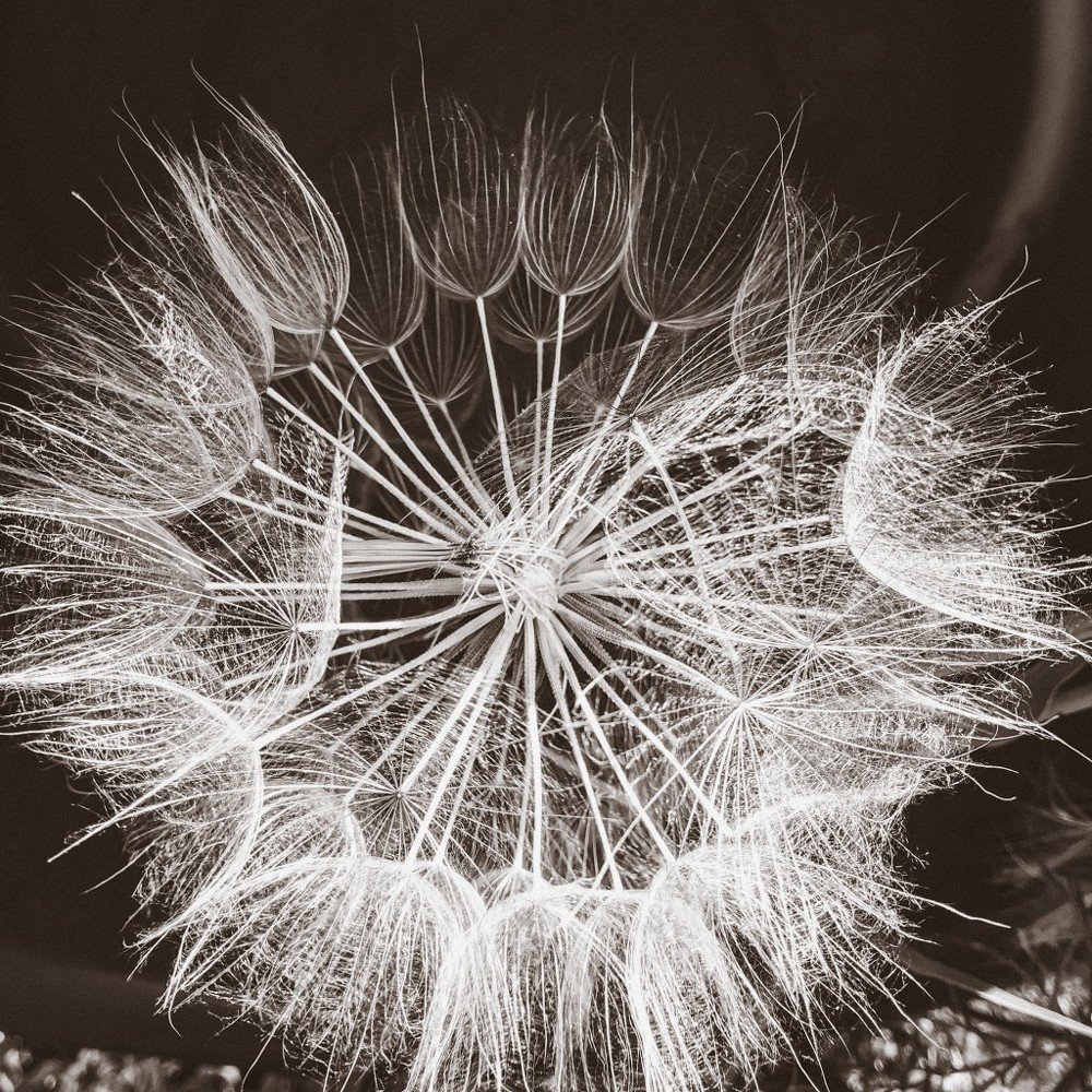 Photograph by Aliya Gabdrakhmanova