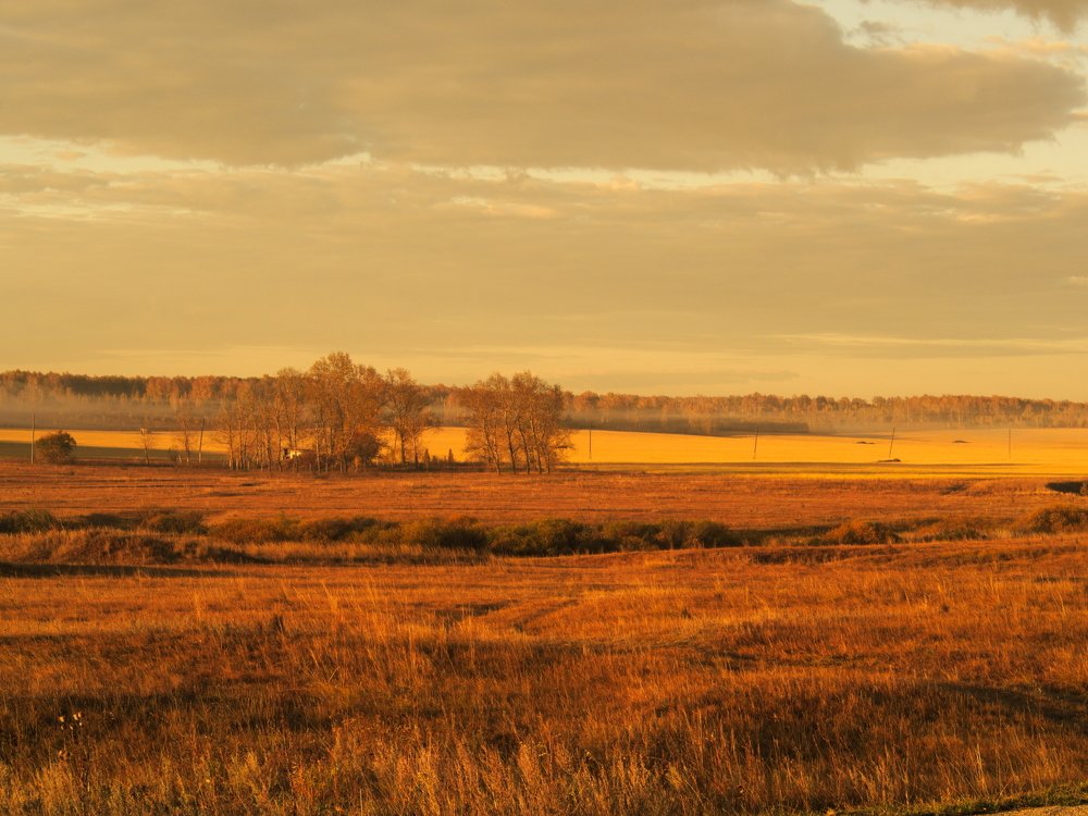 Photograph by Алексей Вахтин
