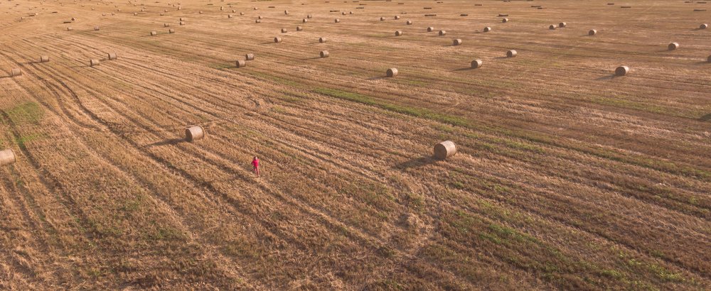 Я видел сон