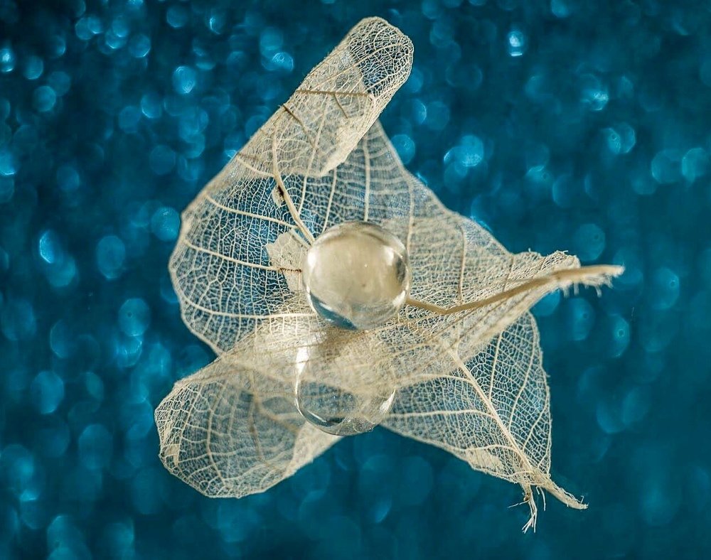 Лист и стеклянный шар