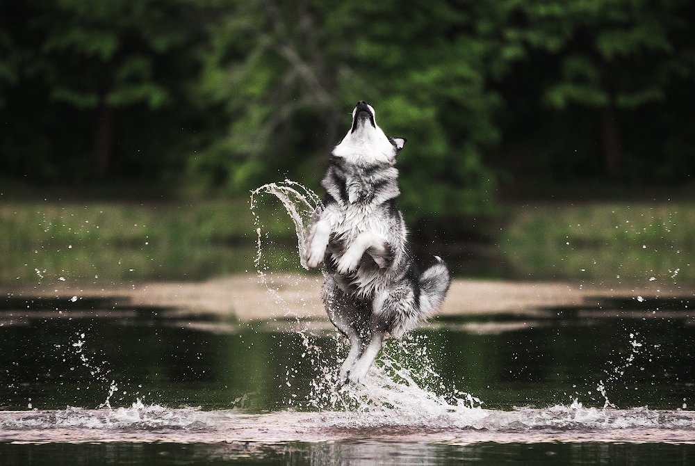 Photograph by Юлия Вербицкая