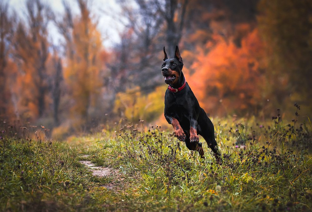 Photograph by Юлия Вербицкая