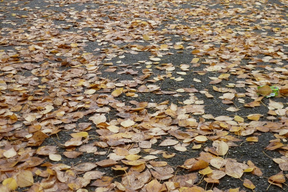 Photograph by Владислав Завальнюк