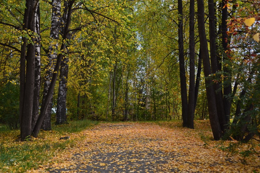 Photograph by Владислав Завальнюк
