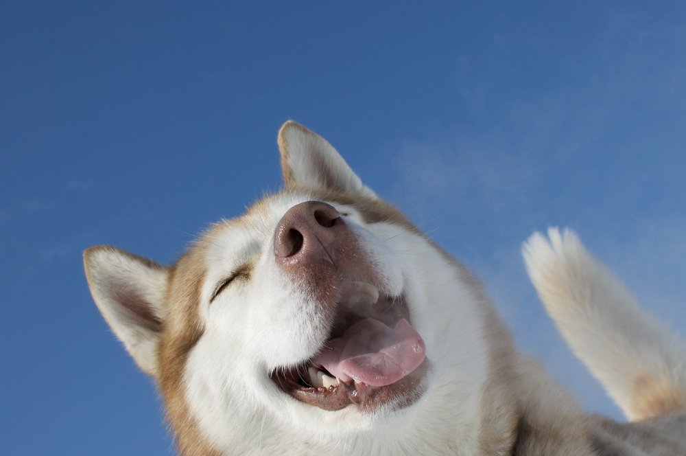 Photograph by Светлана Безлепкина