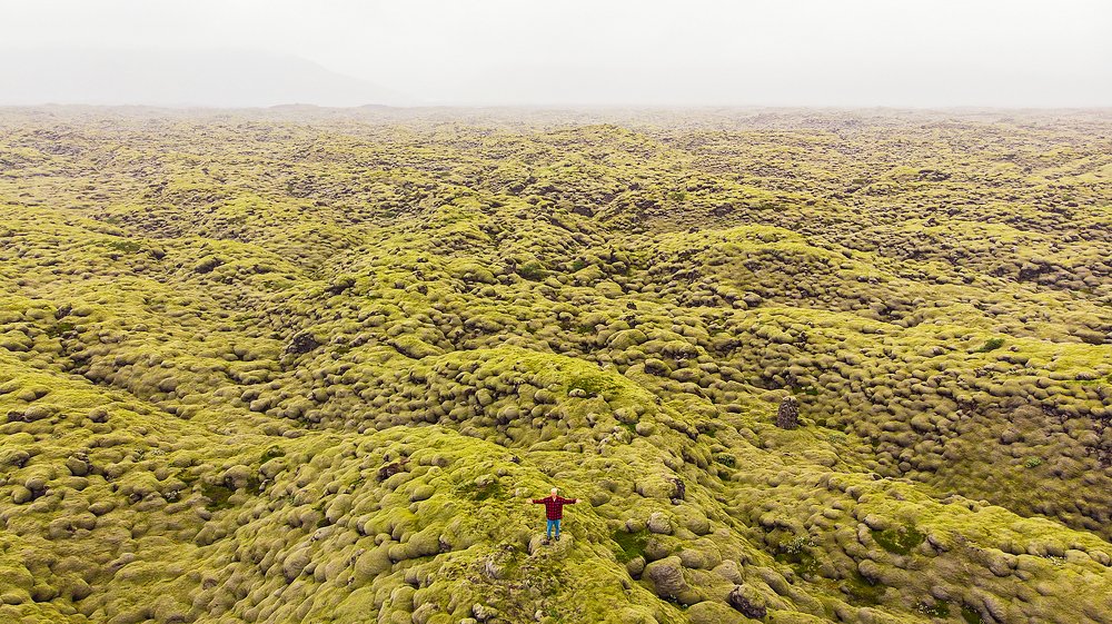 Фотография автора Владимир Эделев