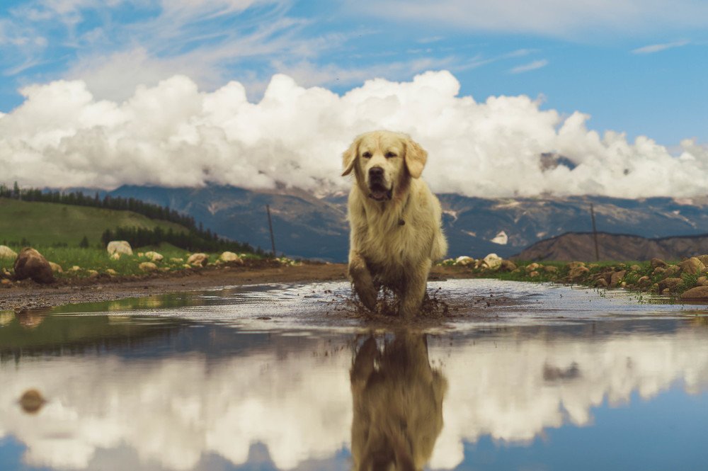 Photograph by Мария Бойцова