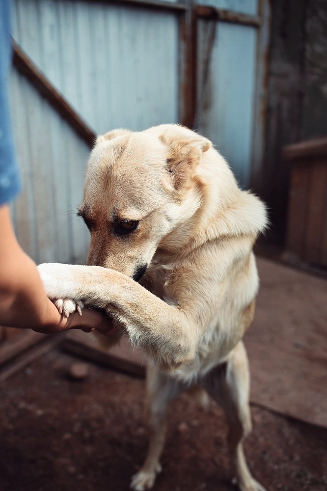 Photograph by Светлана Безлепкина