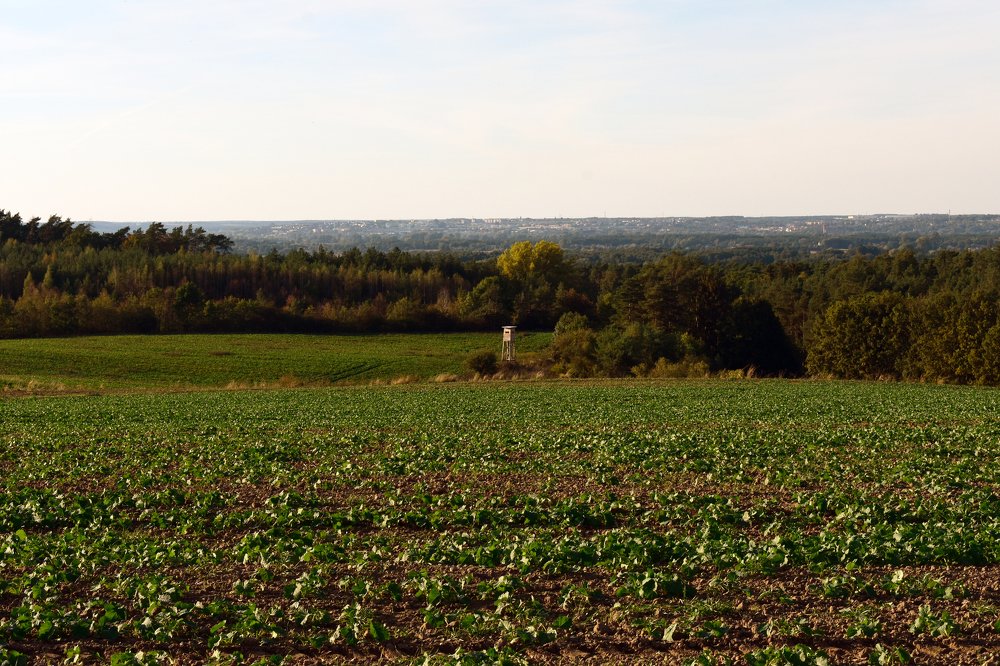 Photograph by Janusz Osika