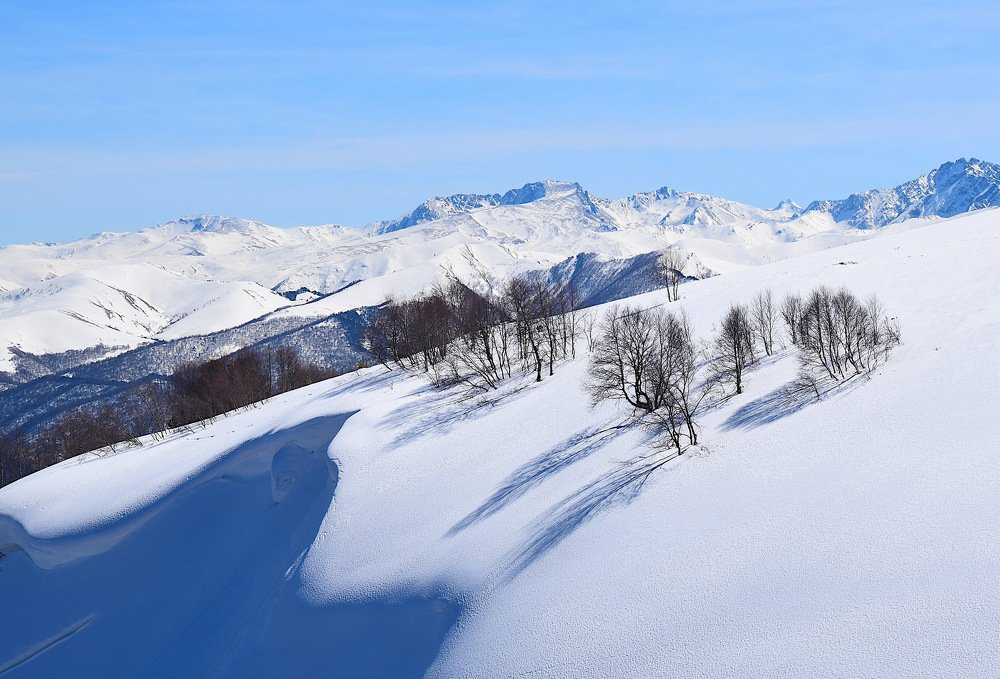 Photograph by Margo Margo