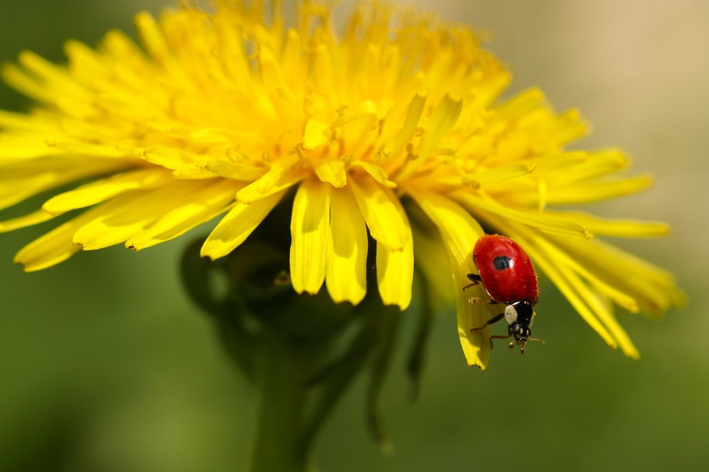 Photograph by Наталья Гайдукевич