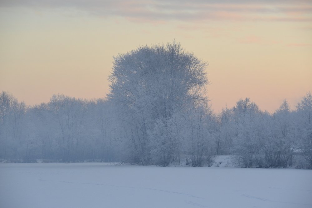 Photograph by Владислав Завальнюк