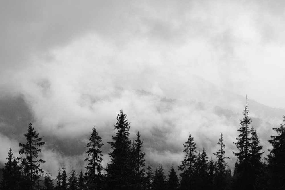 Photograph by Robert Chiorbeja