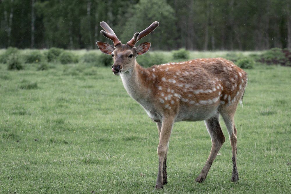 Photograph by Алексей Егорычев