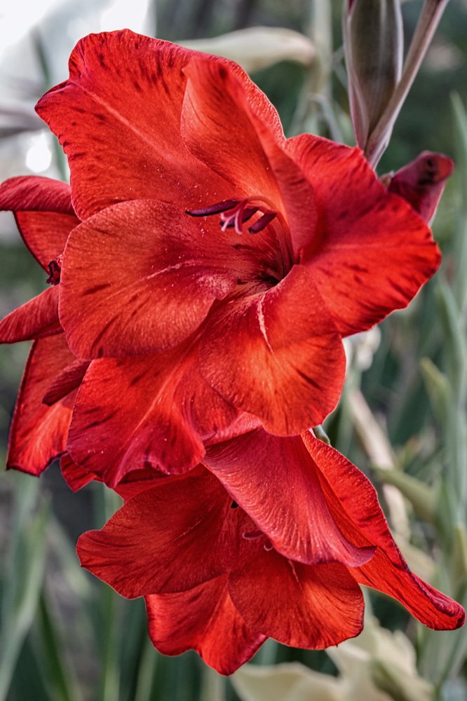 Photograph by Victor Pruhnitskiiy