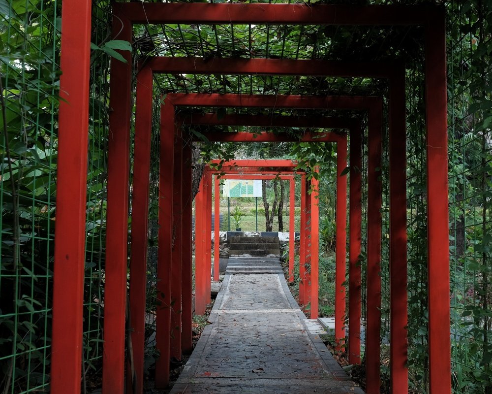 Photograph by  Honest