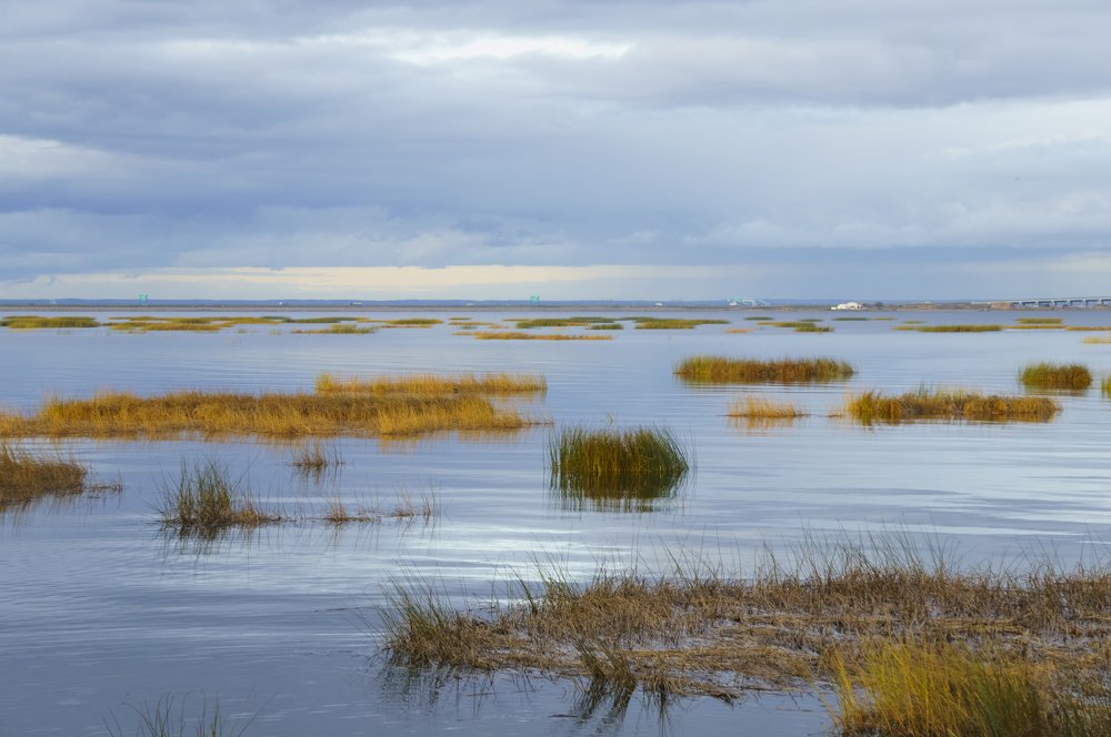 Photograph by Шутов Владимир