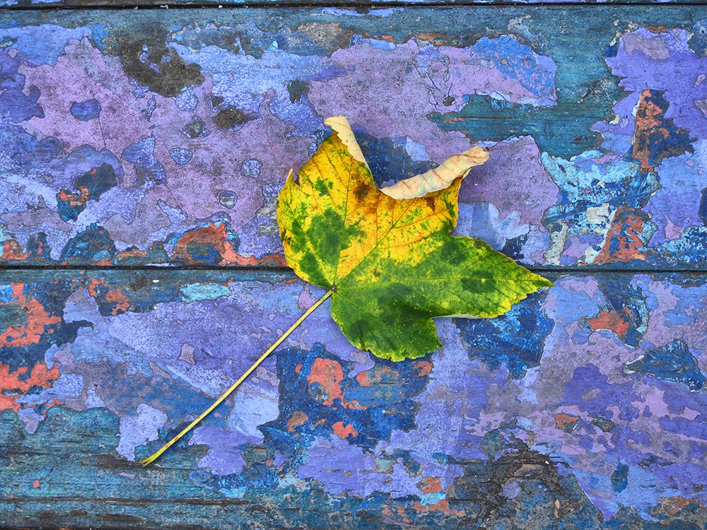 Photograph by Valentin Kirov