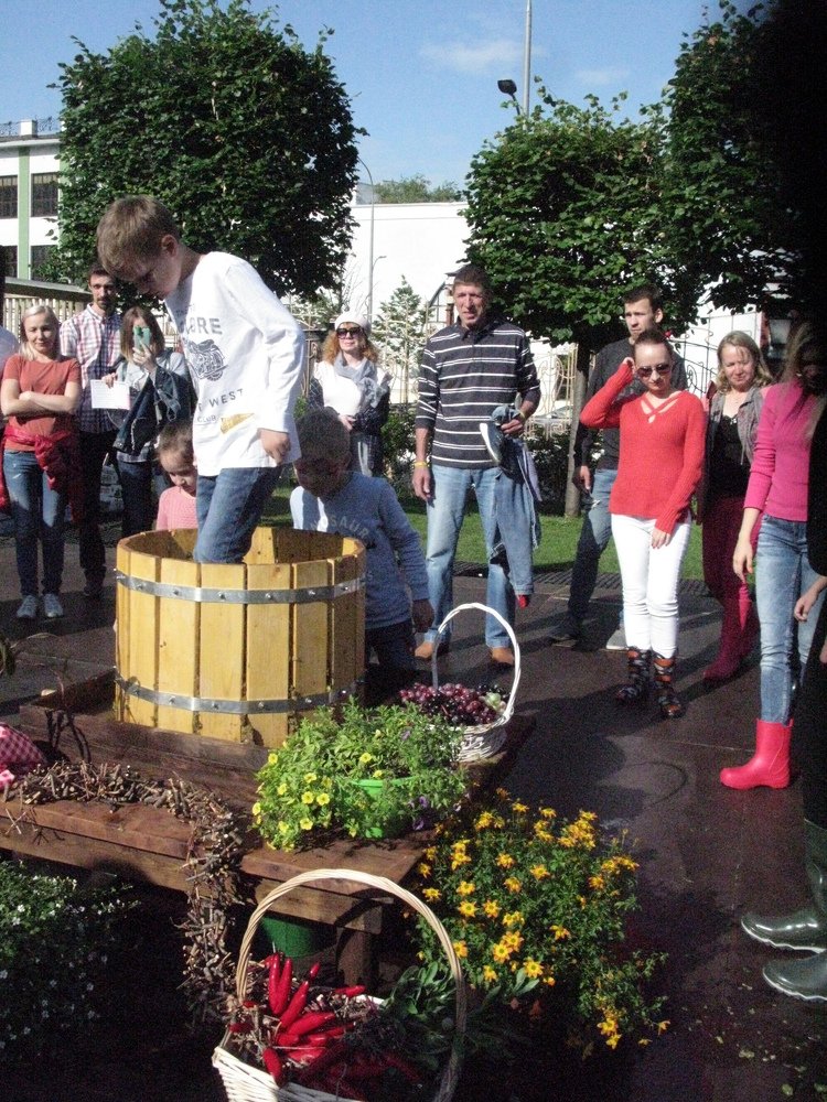 Так делают вино