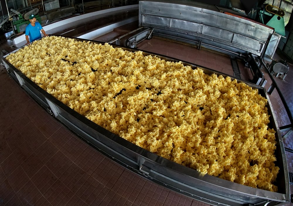 Фотография автора MINH GIẢNG PHẠM