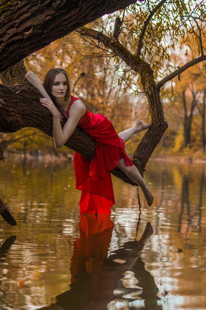 Photograph by Михаил Муканов