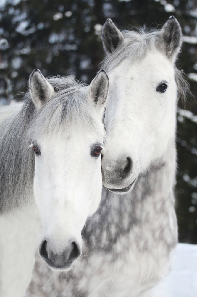 Photograph by Ирина Богатырева
