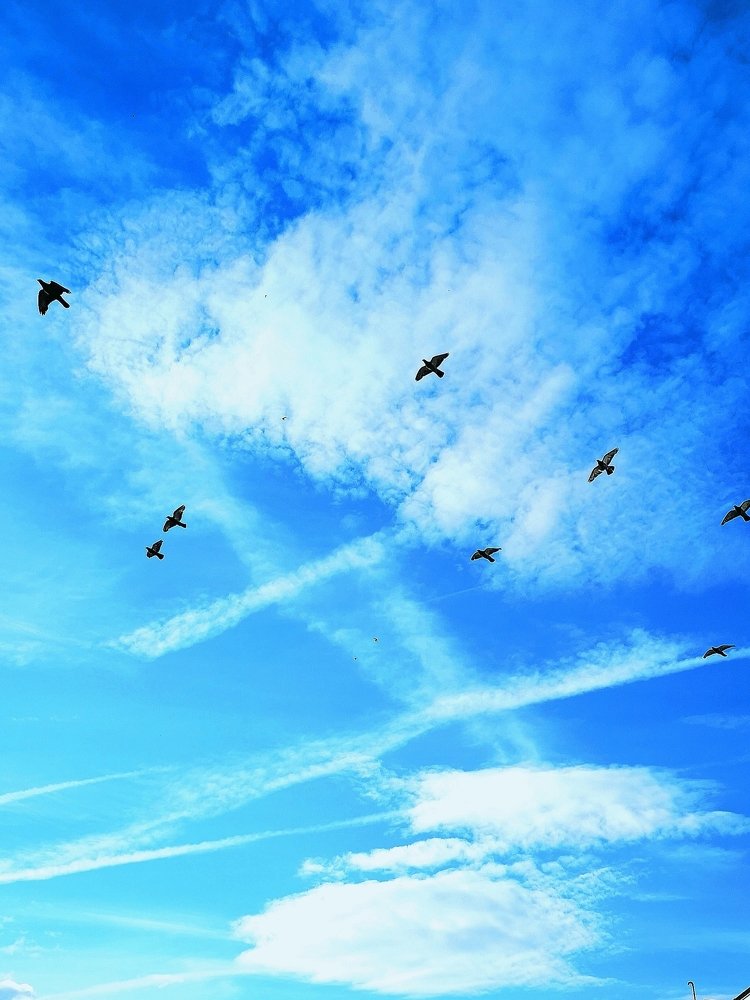 Высокое небо...