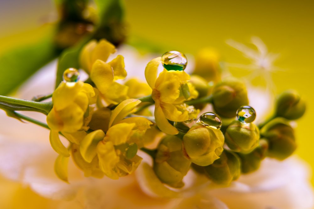 Photograph by Evgeniia Iakimenko