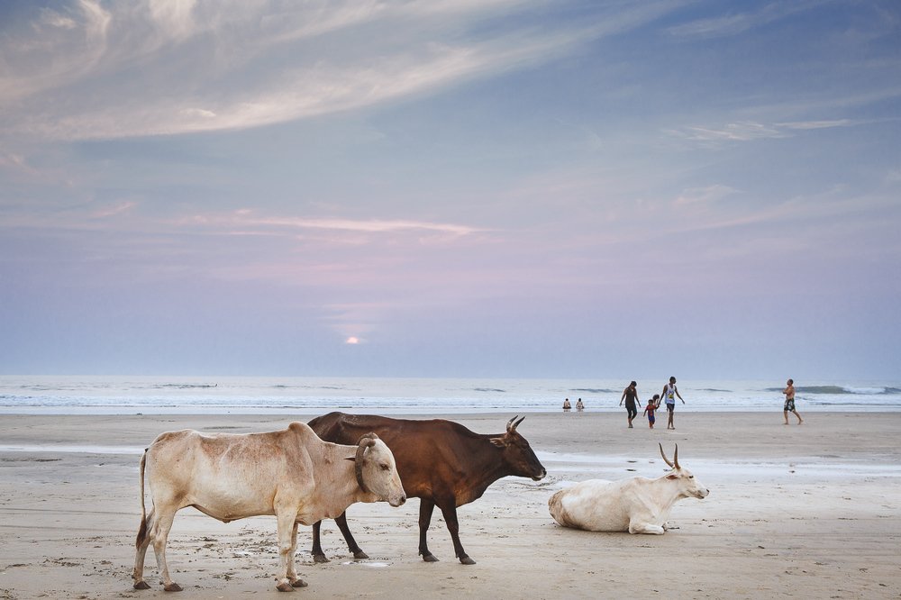 Фотография автора Александр Потапкин