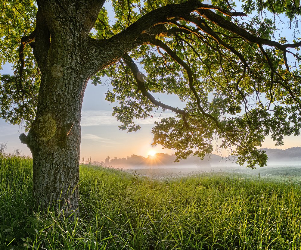 Photograph by Николай Андреев