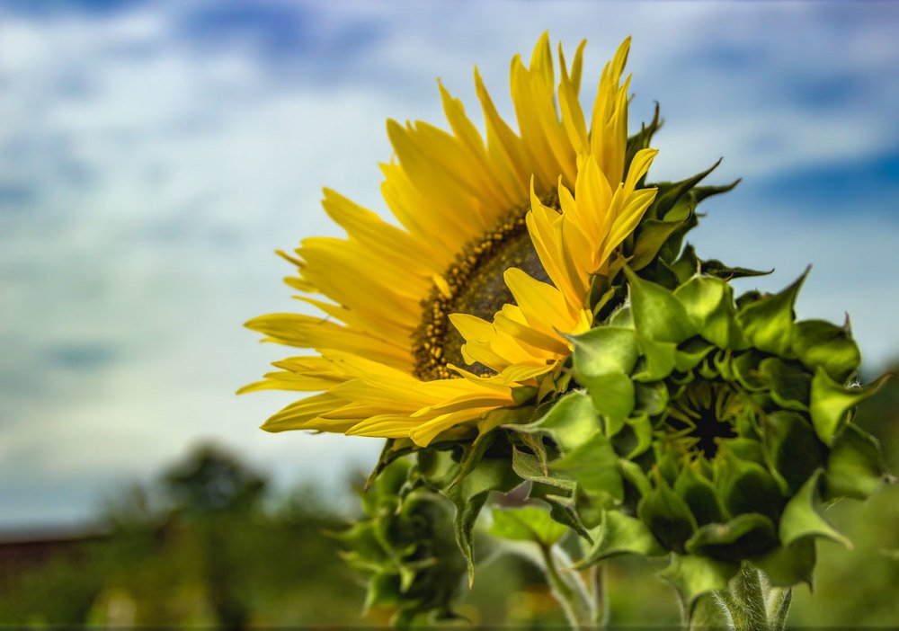 Photograph by Victor Pruhnitskiiy