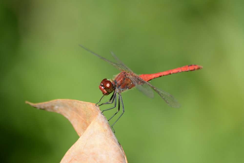 Photograph by Gülşen  Mutlu