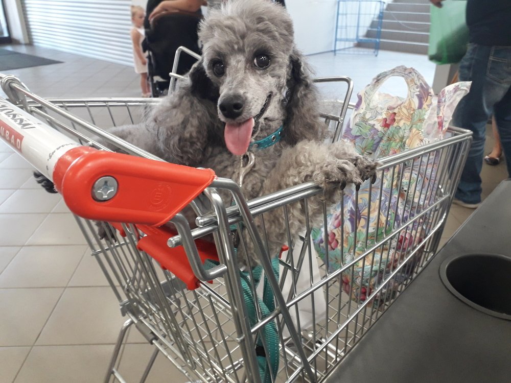 Photograph by Инна Демкив